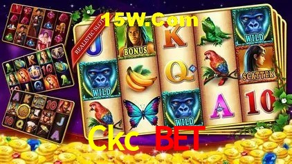 Ckc Bet Rio de Janeiro - Slot Strategy